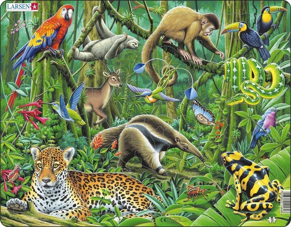 Larsen Puzzles South American Rainforest 70 Piece Children's Jigsaw Puzzle