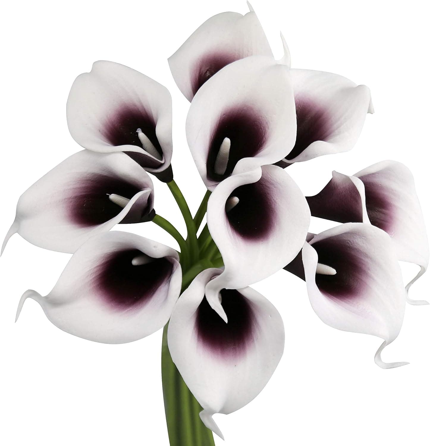 Angel Isabella Lot of 60-Real Touch Calla Lilies (Picasso-Plum)