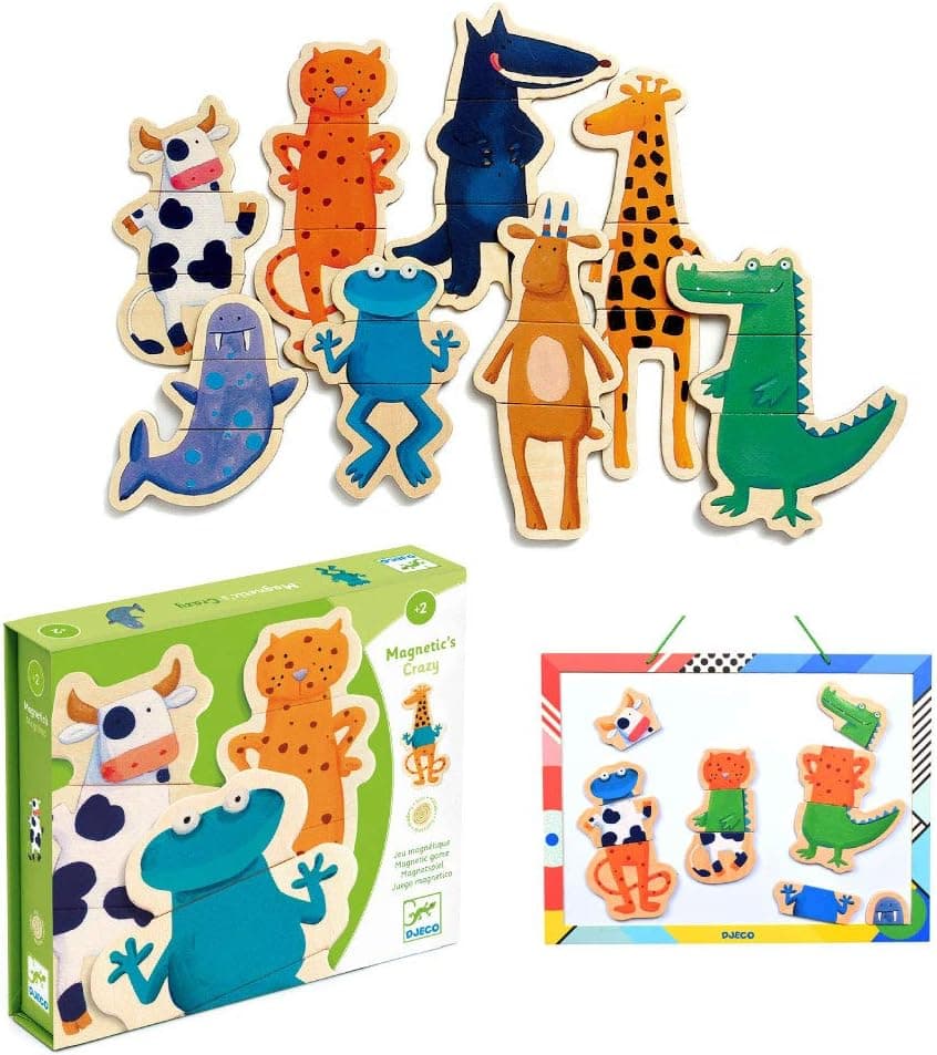 DJECO Crazy Wooden Magnets