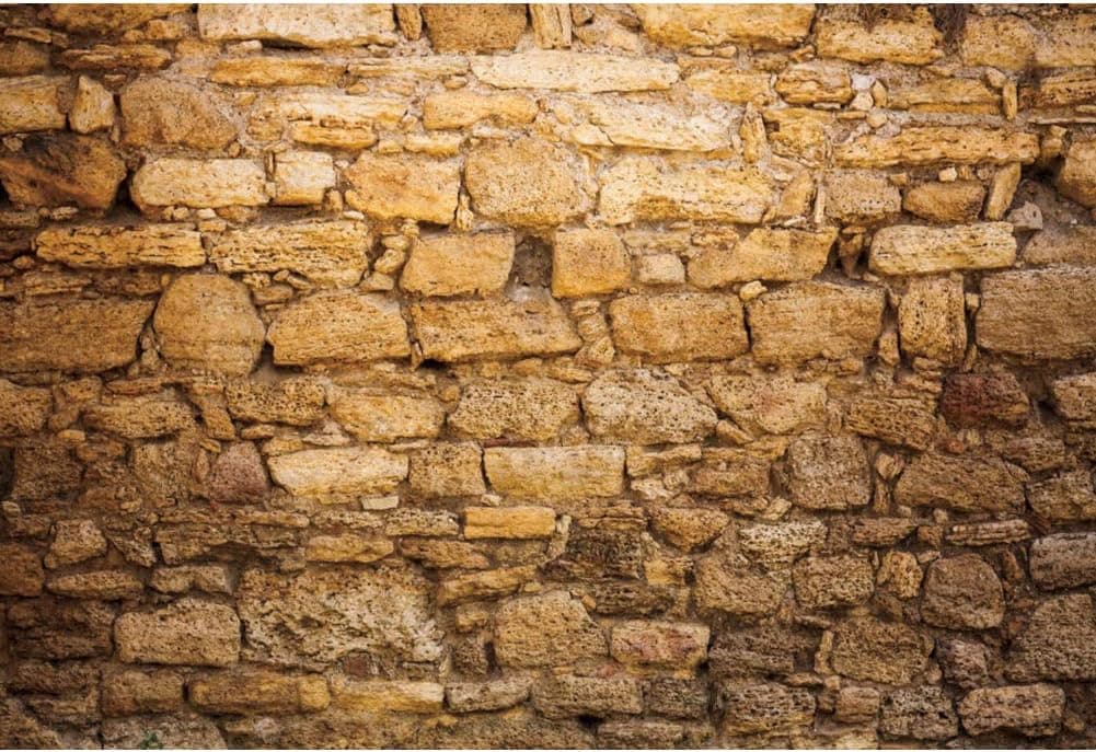 CSFOTO 7x5ft Western Wall Backdrop Ancient Jerusalem Backdrop Jerusalem Photo Background Israel Backdrop Brick Backdrops for Photography Jerusalem Wall Backdrop Wailing Wall Backdrop