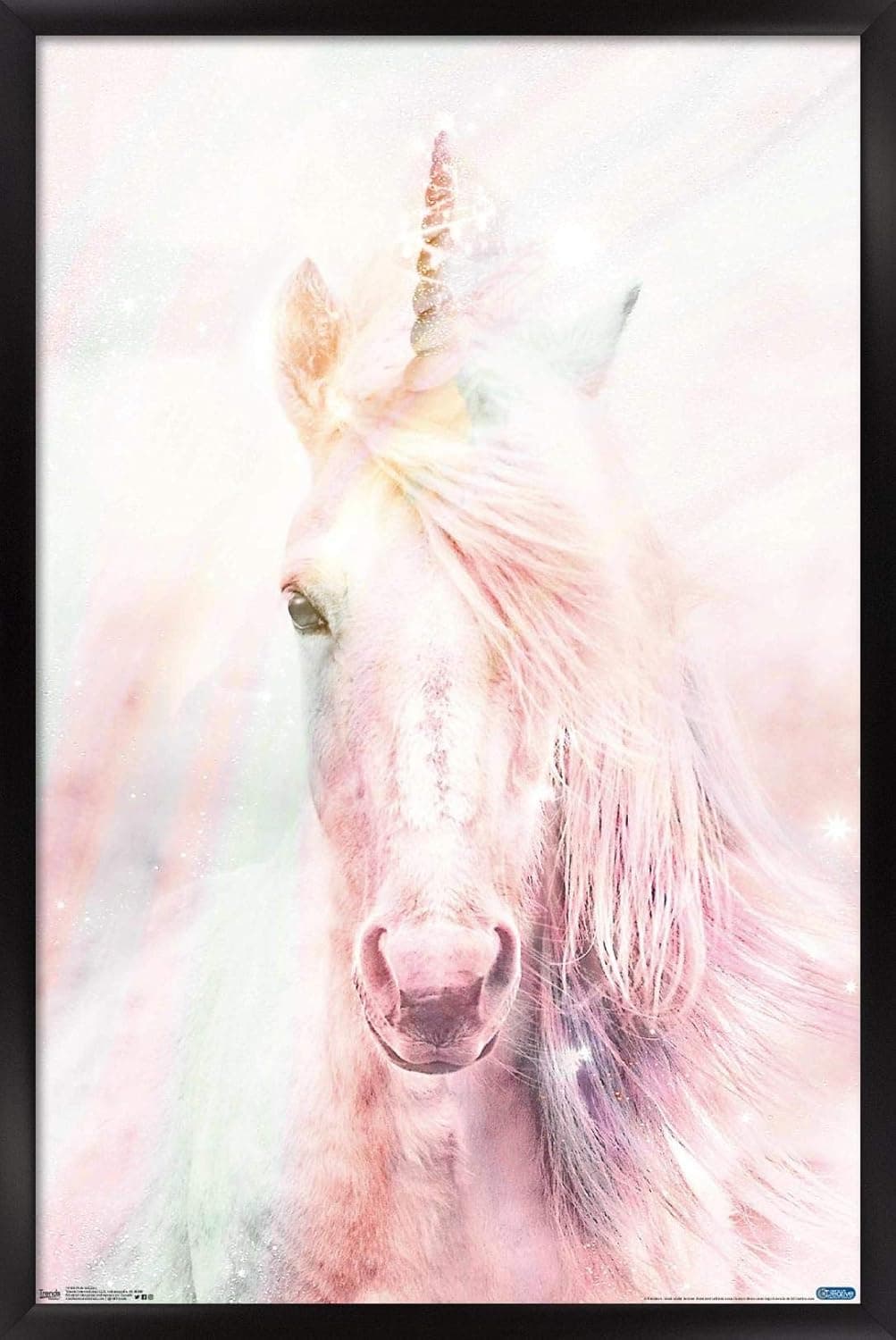 Trends International Pink Unicorn Wall Poster, 22.375" x 34", Black Framed Version