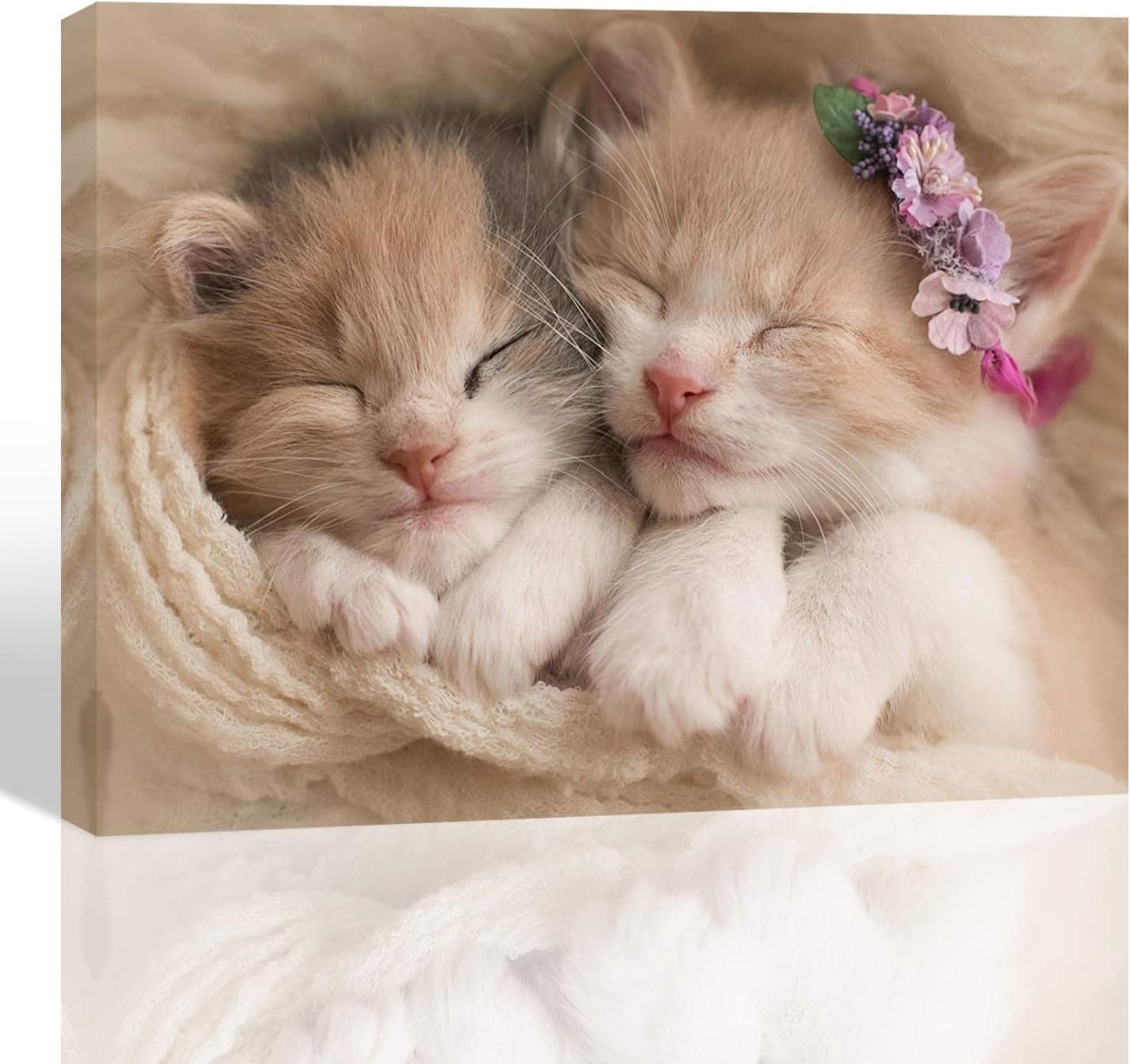 Purple Verbena Art HD Photos Sweet Animals Cute cat Photograph Print on Canvas Artwork Wall Decor for Home Bedroom Kid's Room Study Room Gift for Children 12x16 inches 1 pcs Framed Ready to Hang