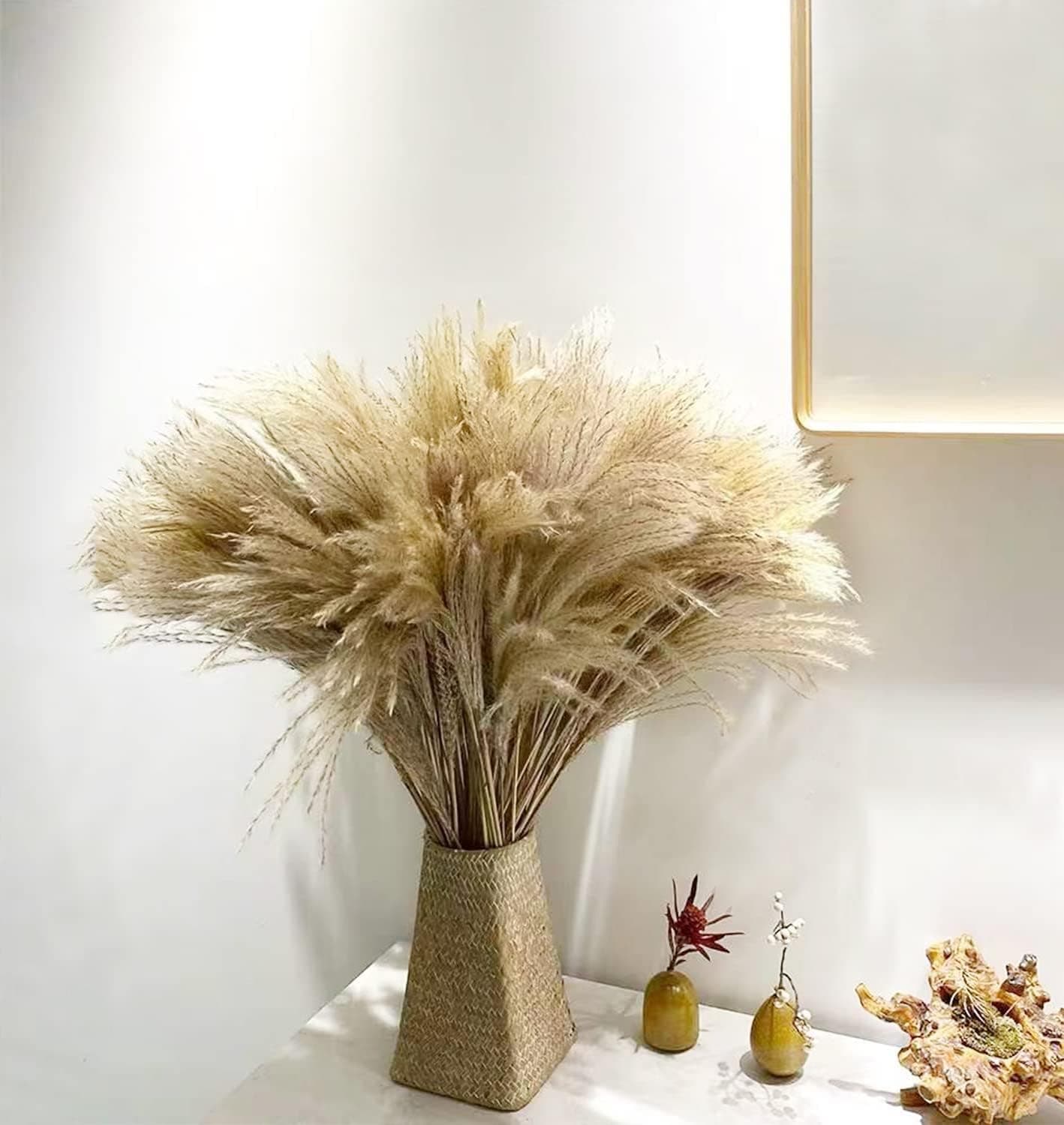 Craigs Natural Dried Pampas Grass Decor, Dry Reed Grass Plumes 100 Pcs - Real Dried Flowers Dried Plants Decor for Wedding Photographing Arrangement Home Decor 18 Inches, White