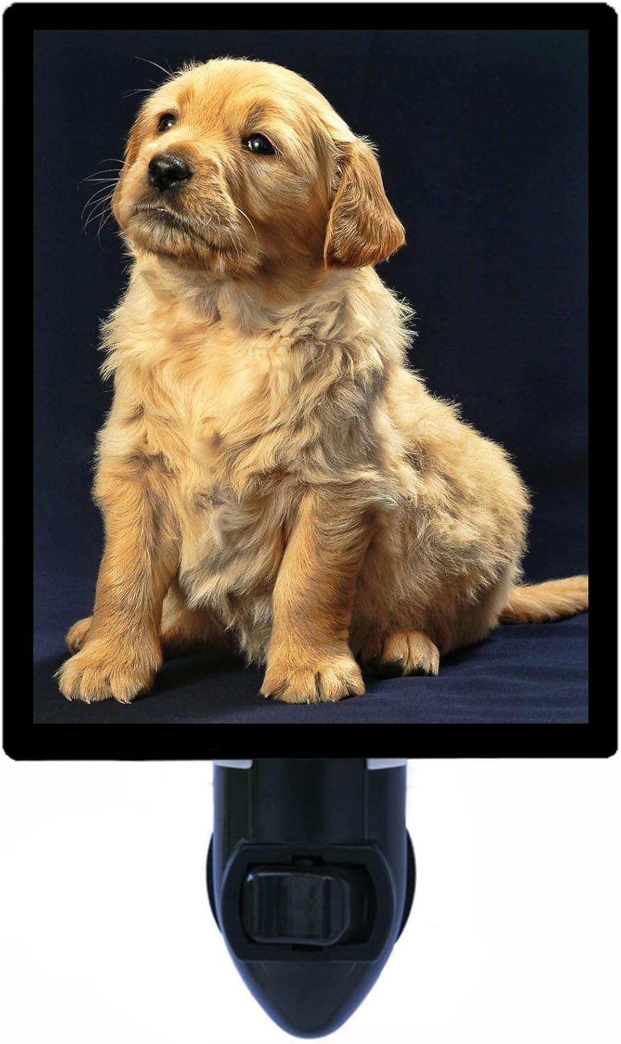 Dog Night Light, Golden Retriever Puppy, Dogs