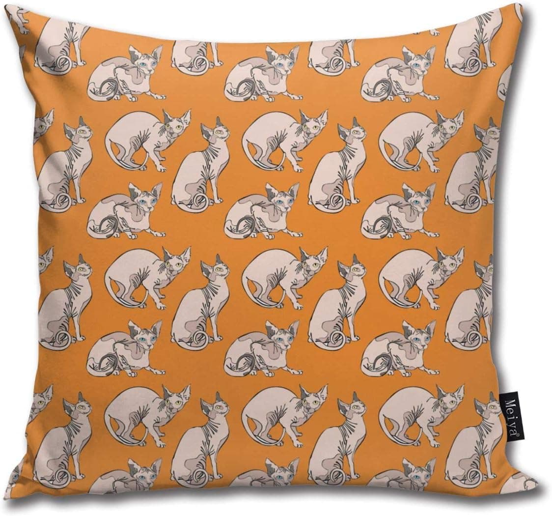 DIYABC Sphynx Cats Throw Pillow Covers Cases 18 x 18 Inch for Sofa Couch Office Car Bed