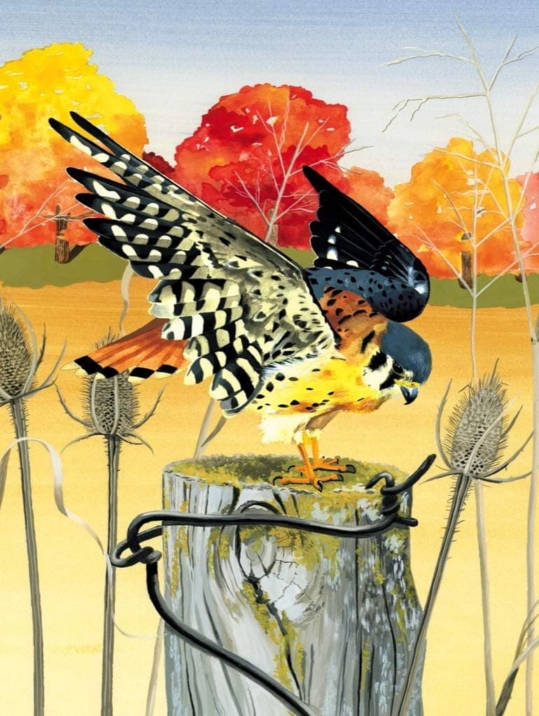 New York Puzzle Company - Cornell Lab American Kestrel - 1000 Piece Jigsaw Puzzle