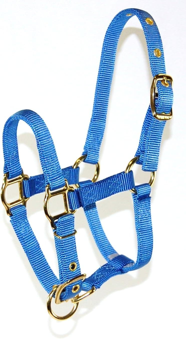 Hamilton Adjustable Miniature Nylon Horse Halter, Average, Berry Blue