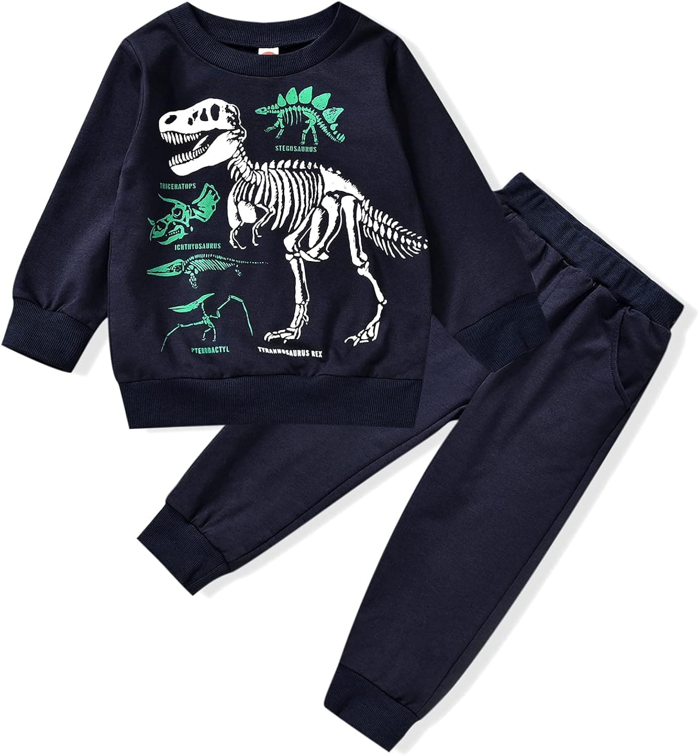 Toddler Boy Sweatshirt Outfits Long Sleeve Dinosaur Top Pants Sweatsuit 2PCS Fall Winter Outfits Set