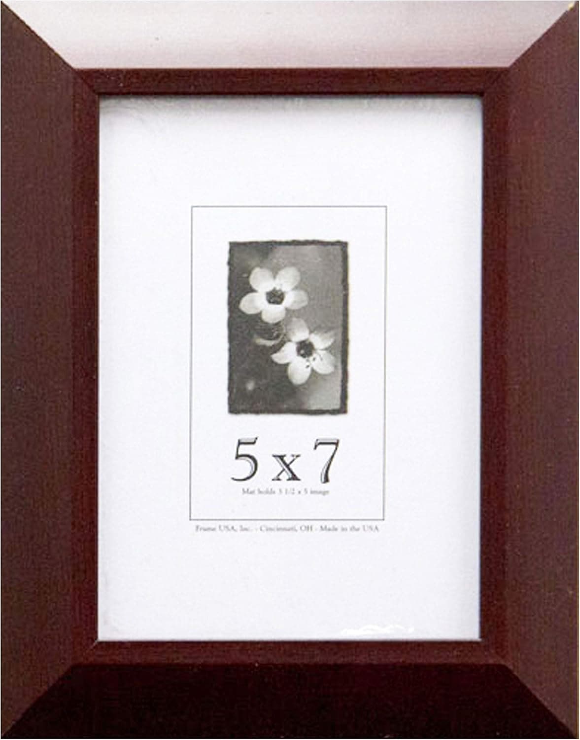Frame USA Budget Saver Series 5x7 Polystyrene Poster Frames (Cherry)