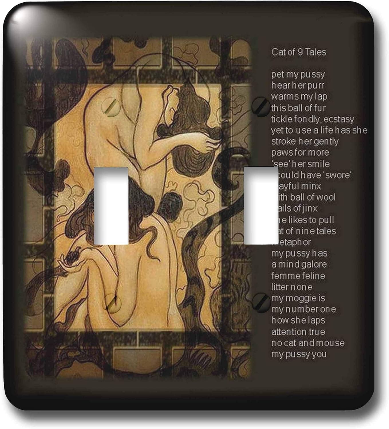 3dRose lsp_47031_2 Women, bathing, washing, bathroom art, brown, cats-Double Toggle Switch