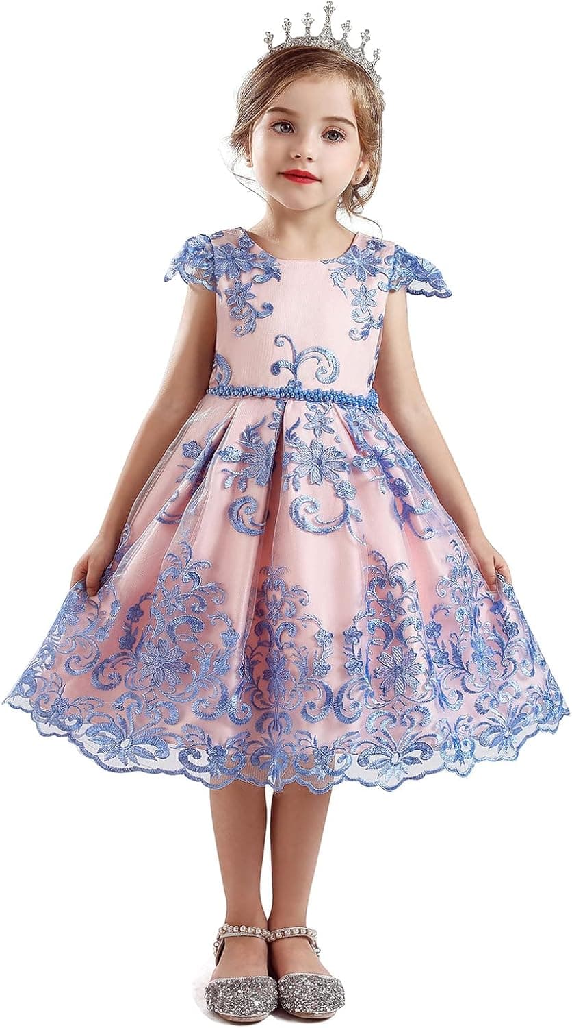 HNXDYY Flower Girl Tutu Birthday Party Pageant Lace Princess Wedding Formal Pegeant Dance Gown