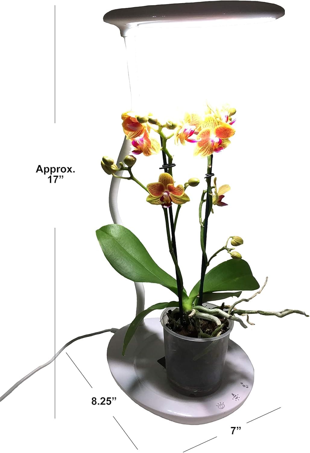 Mr. Light Multi-Function LED Desktop Plant Lamp, UL Listed.