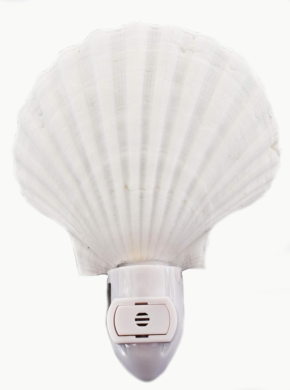 Florida Shells and Gifts Inc. Seashell Night Light Real White Scallop Shell Beach Decor w. Light Sensor Beautiful Coastal Cottage
