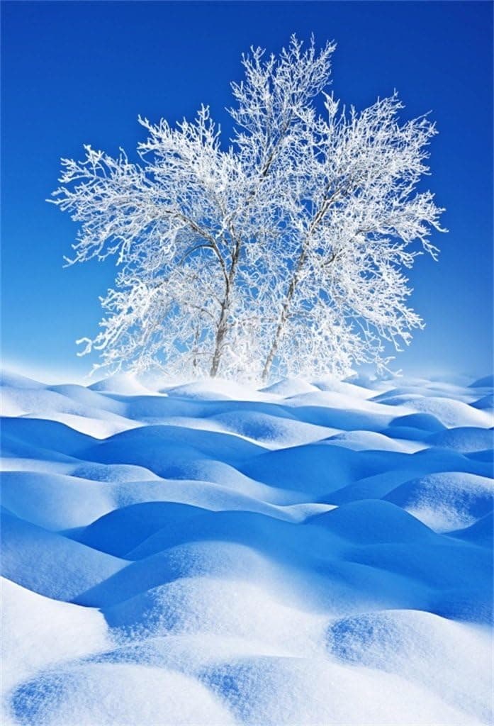AOFOTO 6x8ft Winter Snowscape Backdrop Beautiful Natural Snow Landscape Scenery Ice Snow-Covered Trees Snowfield Photography Background Kids Adults Portrait Photo Shoot Studio Props Video Drop