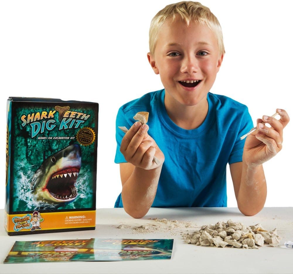 Shark Tooth Dig Kit – Dig Up 3 Real Shark Teeth Fossils!