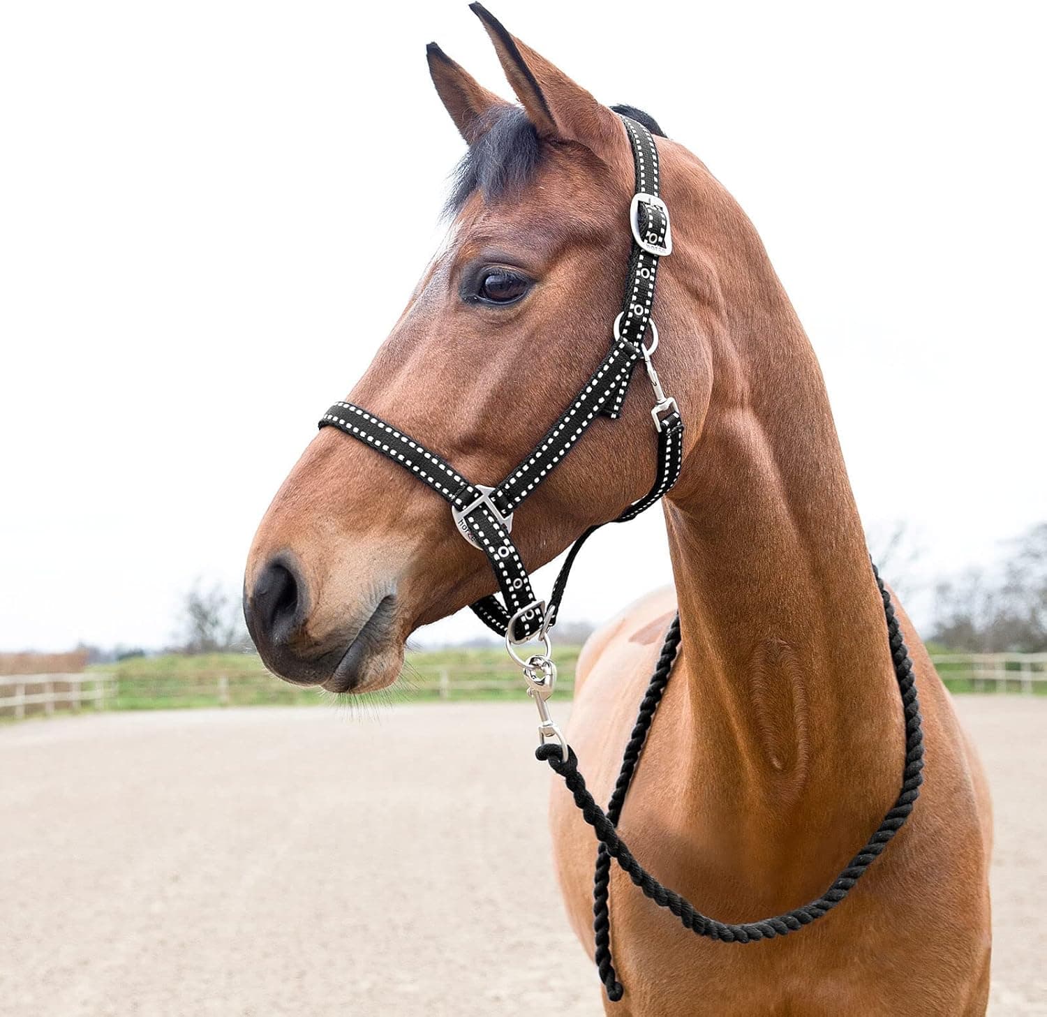 HORZE Cooper Halter with Lead Rope