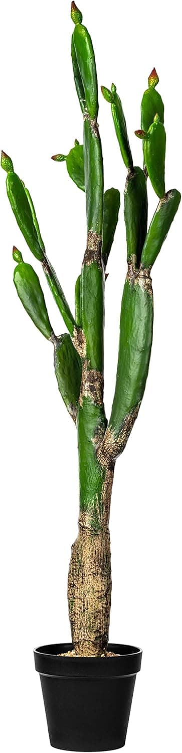 Vickerman Everyday 57" Artificial Green Cactus in a Black Plastic Planters Pot - Faux Indoor Potted Plant - Greenery for Home Or Office Decor - Maintenance Free