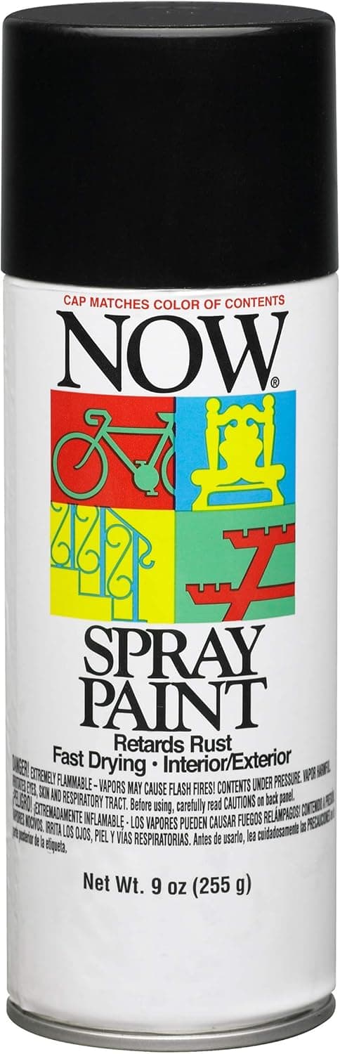 Krylon KRYLON-I21213007-BLACK I21213007 Fast Dry Lead-Free Spray Enamel Now Economy Paints Gloss Black, 9 Ounce (Pack of 1)