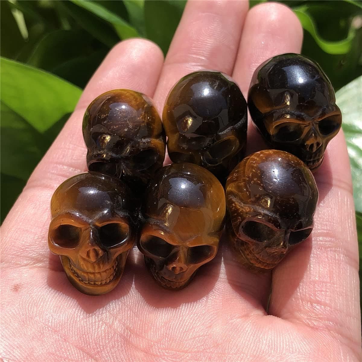 Anlingem Crystal Skull Sculpture Set of 6 Tiger Eye Jasper Hand Carved Gemstone Statue Figurine Collectible Healing Reiki AL-6TEJCS
