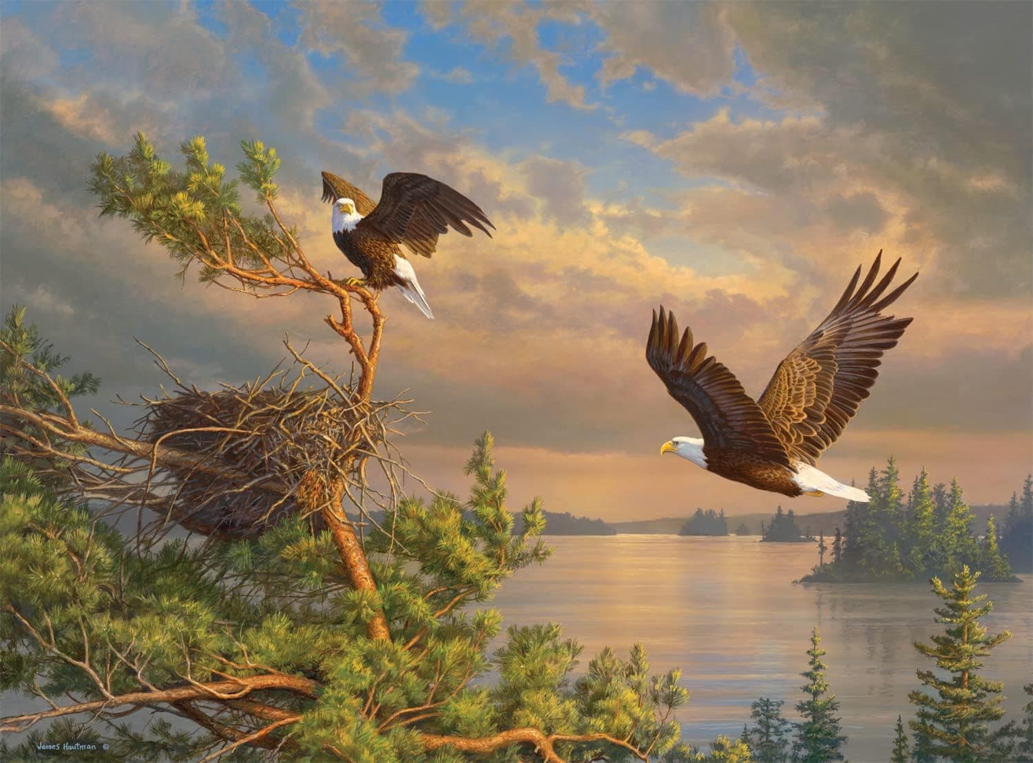Buffalo Games - Hautman Brothers - Back to The Nest - 1000 Piece Jigsaw Puzzle