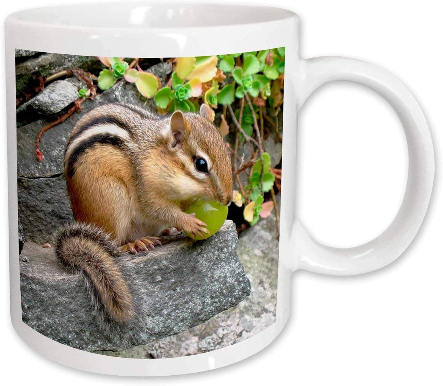 3dRose Wild animals - Chipmunk - Mugs (mug_3109_2)