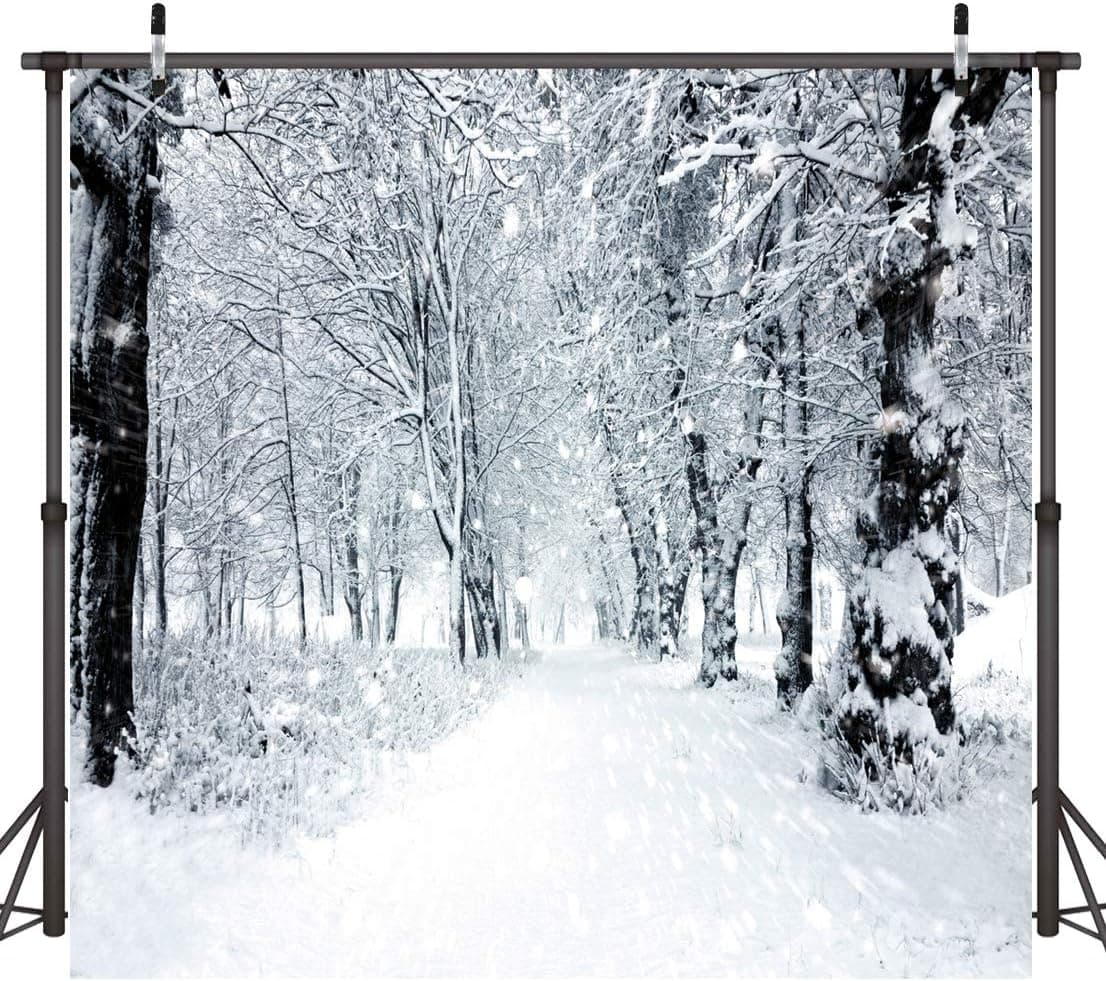 Dudaacvt 10x10ft Winter Photography Backdrops White Frozen Snow Backdrop Forest Tree Photo Background Year Theme Photo Backdrop D092 1010
