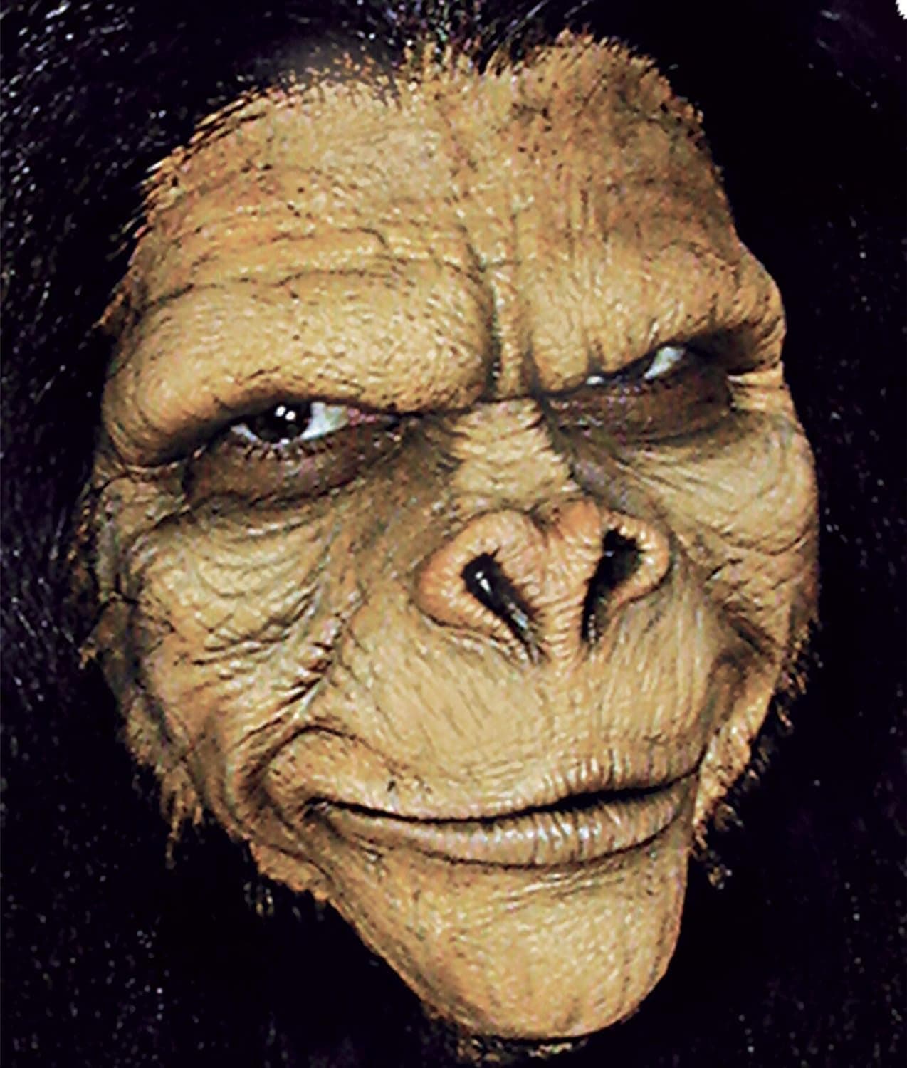 Woochie Foam Prosthetics - Professional Halloween and Costume Facial Accessories - Ape Man