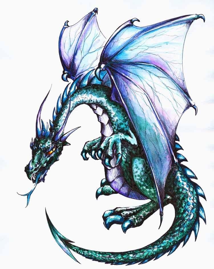 Wallmonkeys Dragon Peel and Stick Wall Decal, 18-Inch Height by 14-Inch Width