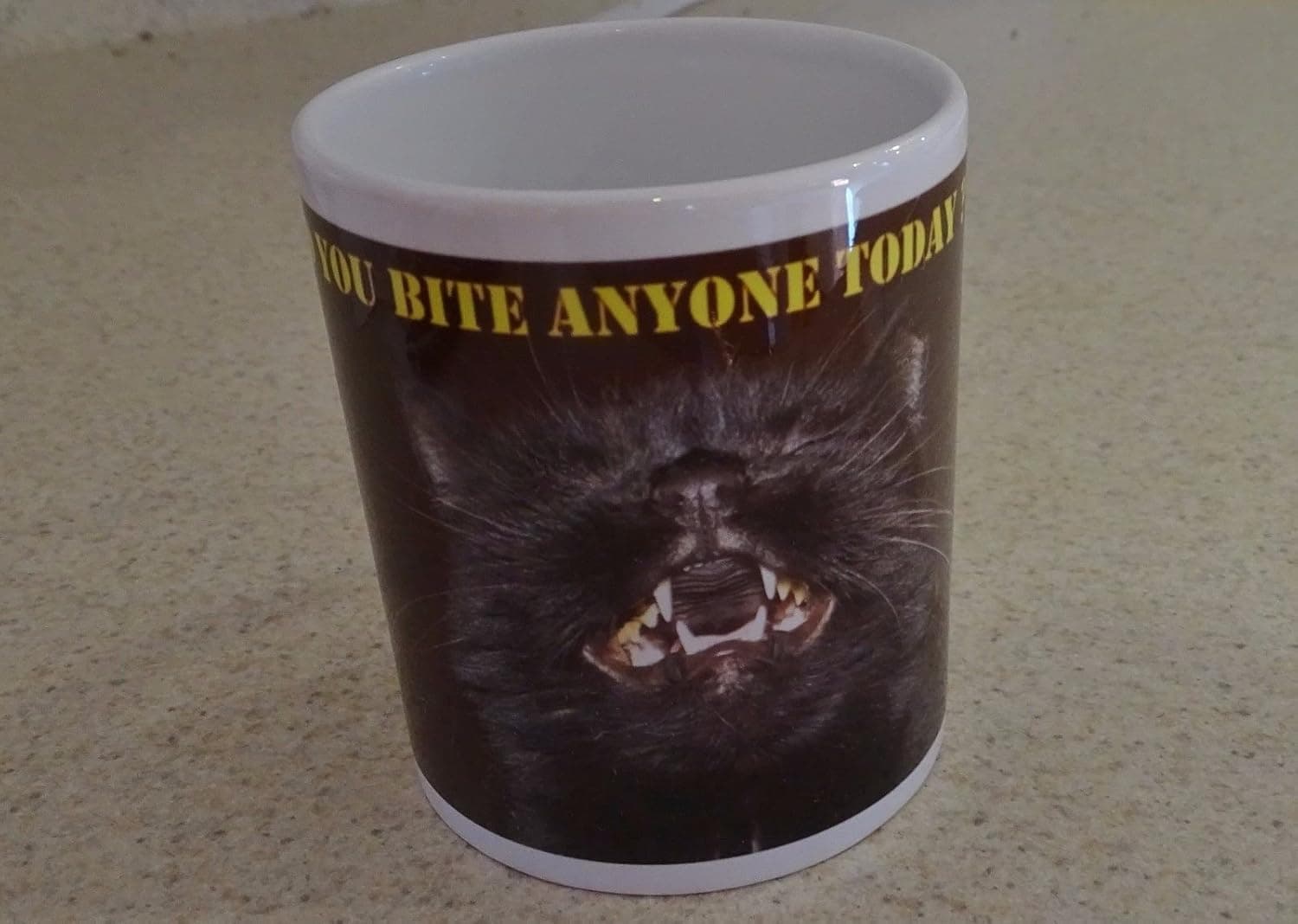 Did You Bite Anyone Today ?? 11 Ounce Coffee Mug
