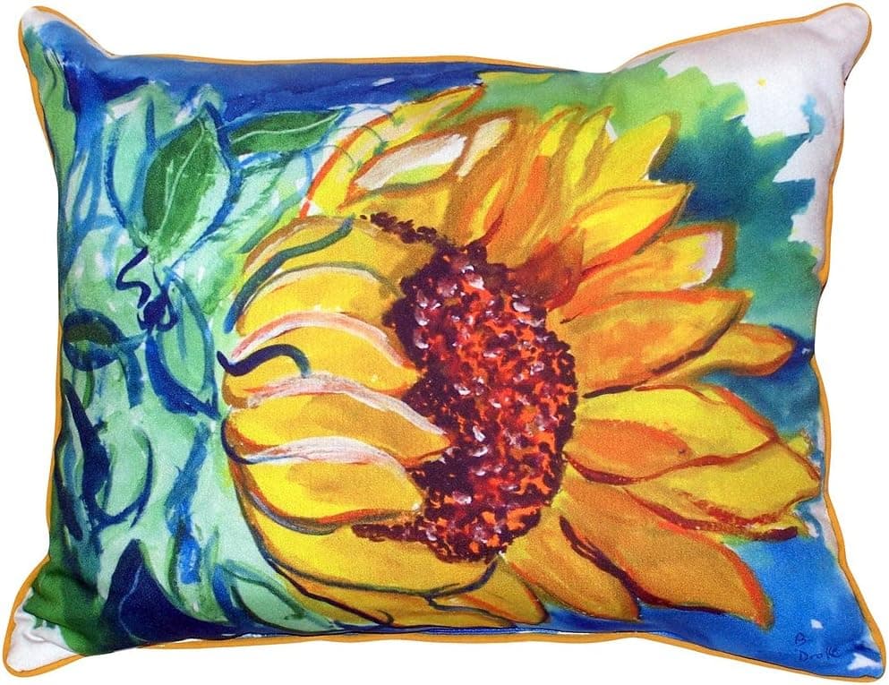 Betsy Drake SN544 Throw Pillow, 11 inches x 14 inches, Multi