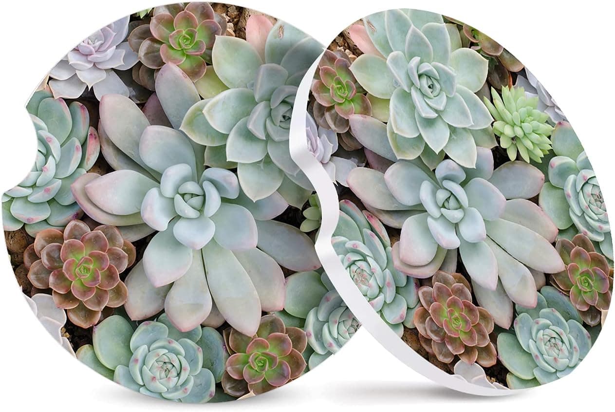 2 Pack Absorbent Car Coasters for Cup Holders,Cute Succulents Ceramic Coasters with Cork Back and Finger Slot,Natural Plants Cupholder Accessories to Keep Your Car Cup Holders Clean and Dry 2.56"