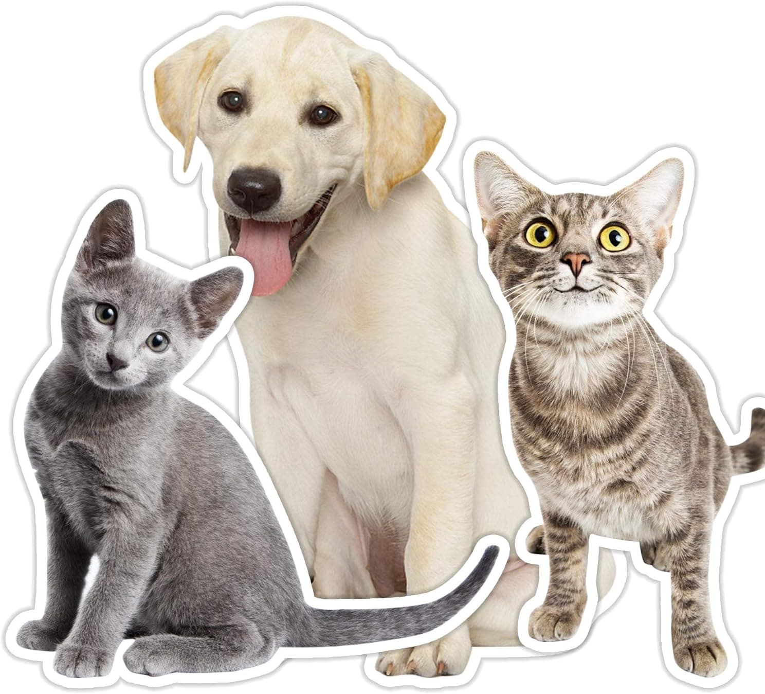 Sobeamix Custom Pet Photo Shaped Pillow Cases (Including Pillow core) Funny Personalized Throw Pillow Covers with Picture of Dogs or Cats, Customize Valentine's Day,Pillowcase,Home Decor Love Gifts