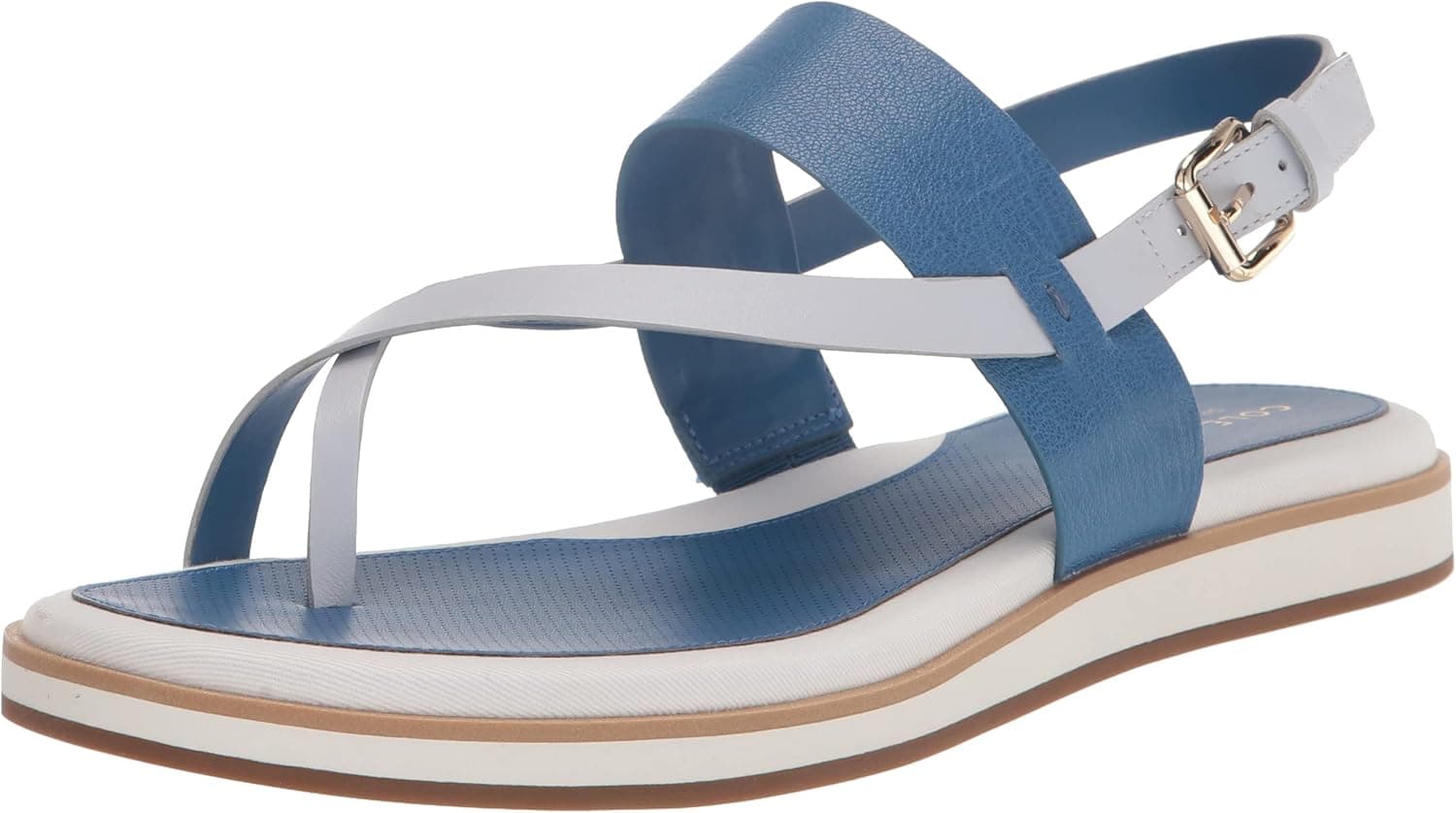 Cole Haan Women's Mandy Thong Sandal Flat, Bright Cobalt Leather, 11