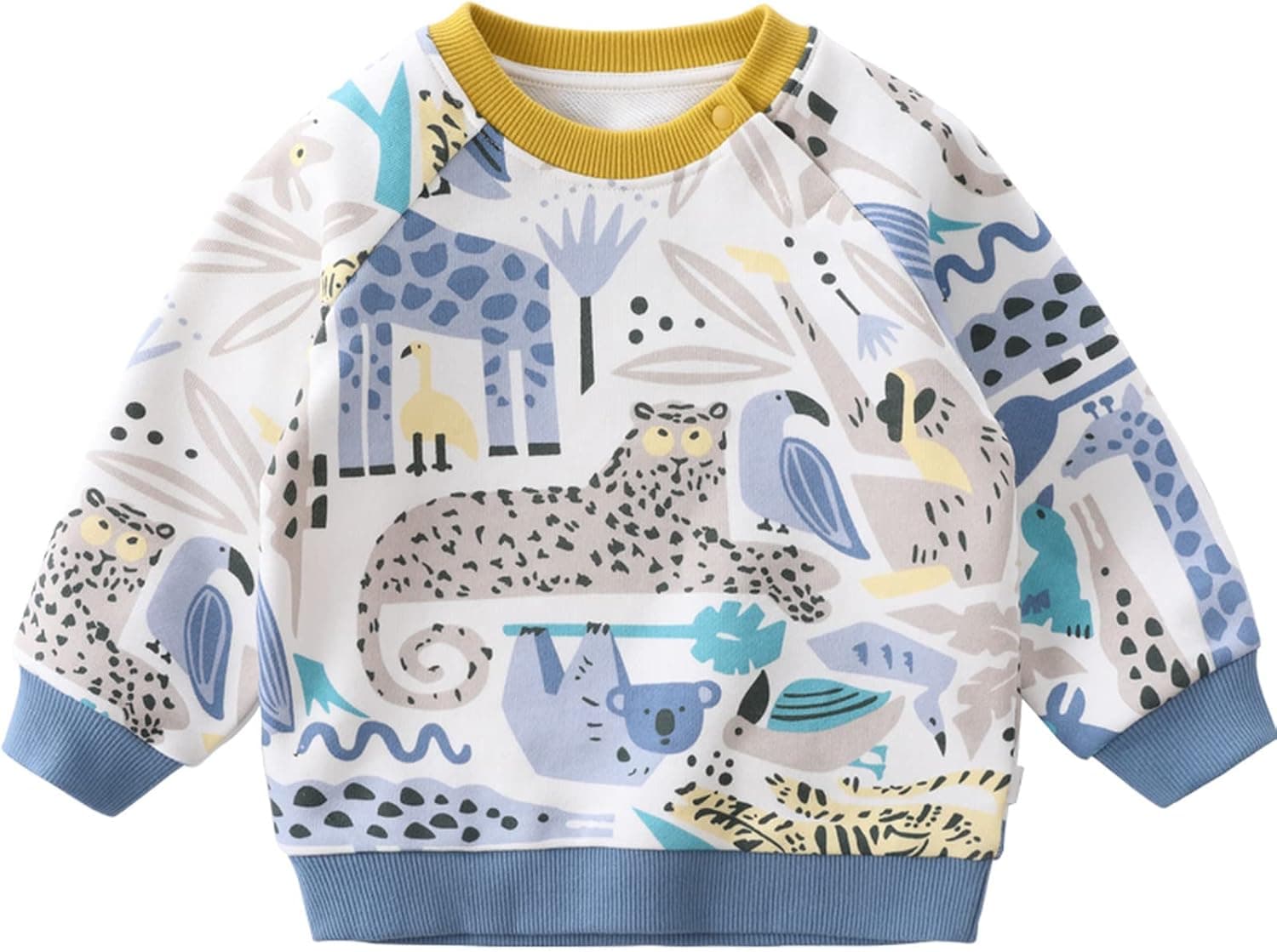 LABISHU Girls Boys Crewneck Sweatshirt Pullover Long Sleeve Frog Sweatshirts Tops Casual Fall Toddler Clothes 1-7Y
