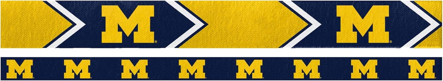 Littlearth NCAA Headband Set
