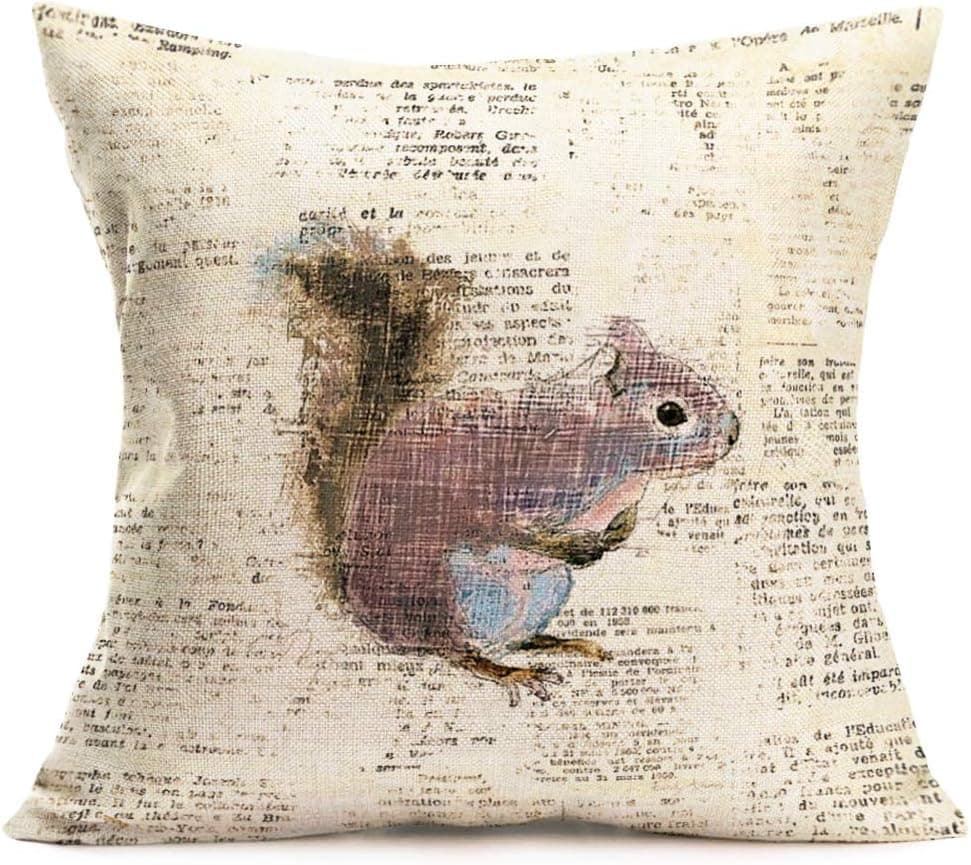 Doitely Retro Words with Inspirational Quote Throw Pillow Covers Art Cute Animal Series Pattern Cotton Linen Cushion Cover Home Decor 18x18 Inch (V-Squirrel)