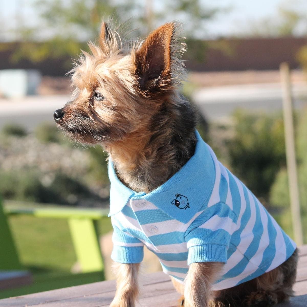 DOGGIE DESIGN Striped Dog Polos (Blue Niagara and White, M)