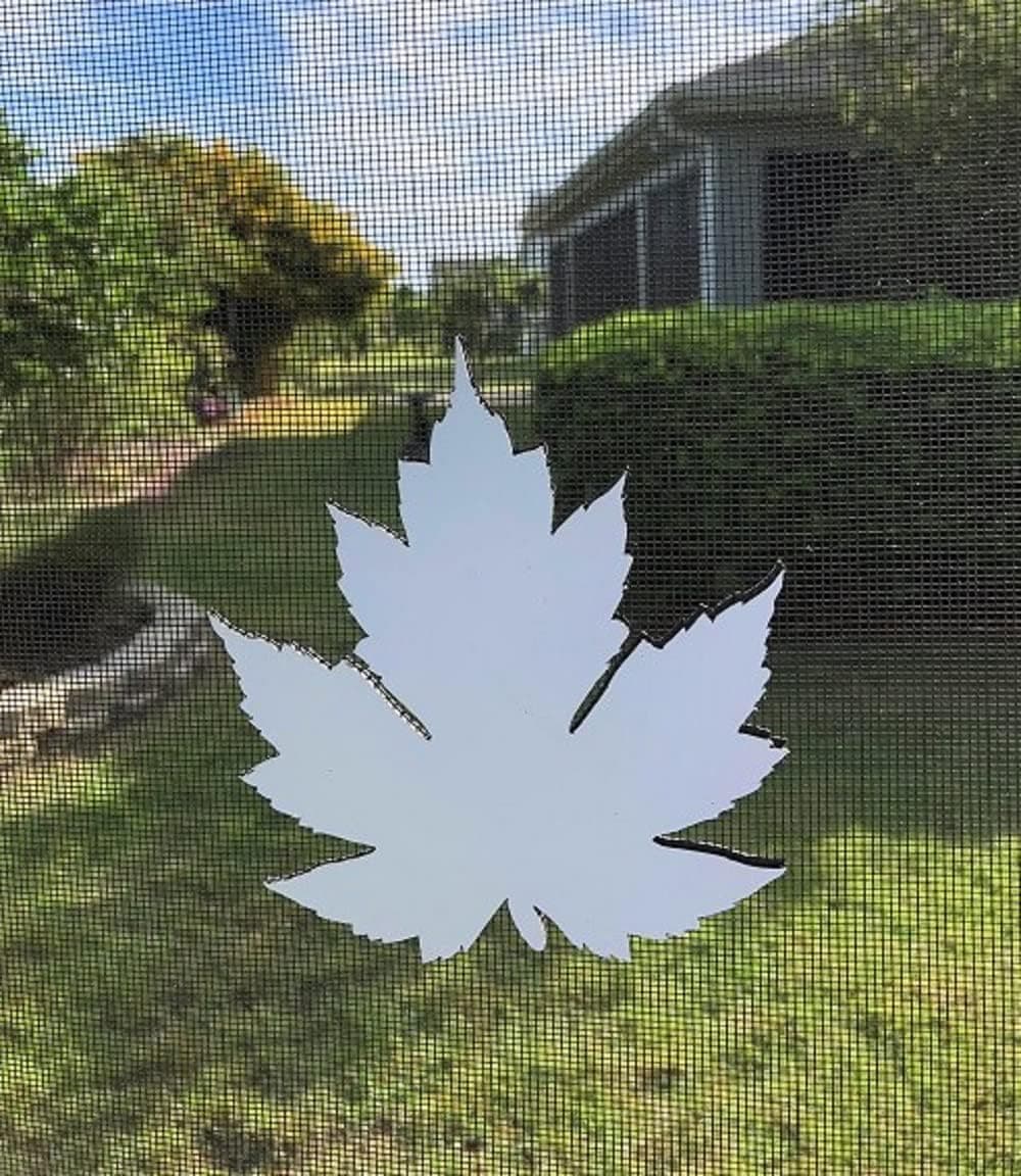 DCentral Maple Leaf Flexible Screen Magnets Double-Sided. Safety White-Easier to See Day & Night. Decorative. Helps to Stop Walking into Screens, Covers Small tears in Screens Size 4.8" x 5.1"