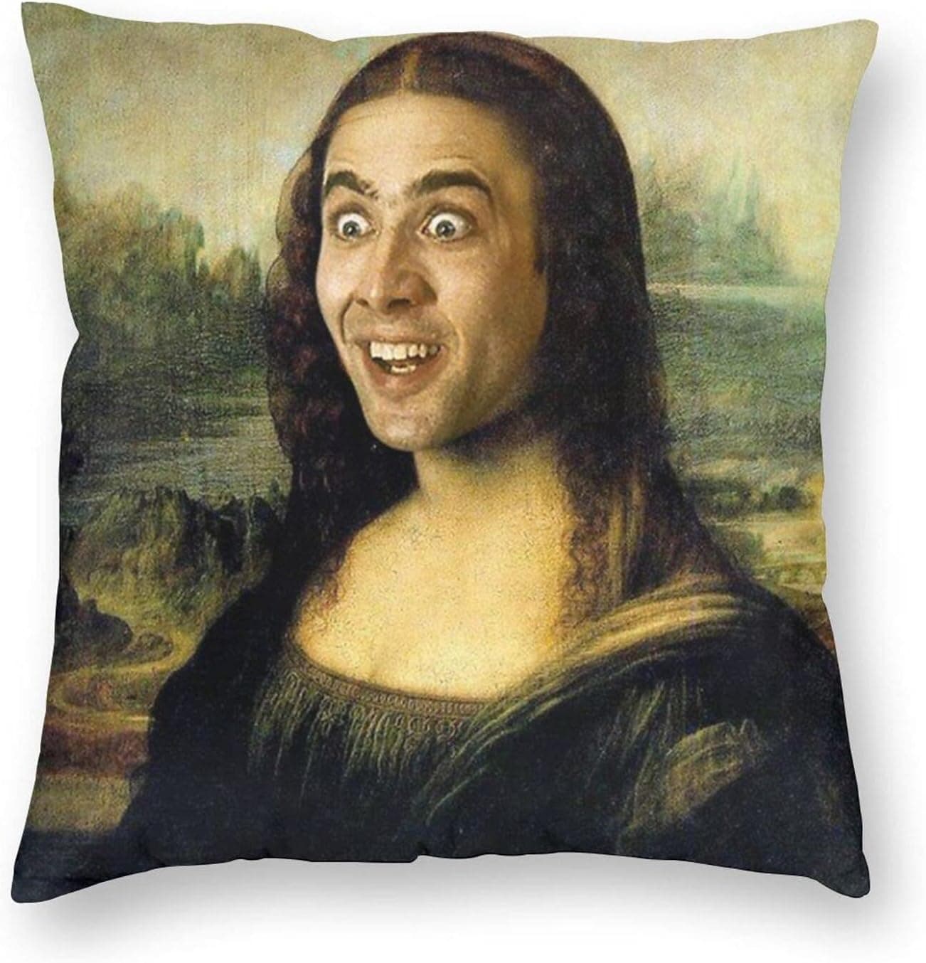 Jaikhar Spoof Throw Pillow Cover Cozy Square Throw Pillowcases Home Decorative for Bed Couch Sofa Living Room Cushion Covers 18"X18"