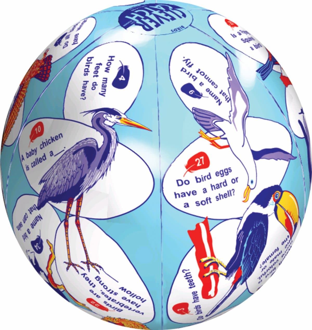 American Educational Vinyl Clever Catch Elementary Science Birds Ball, 24" Diameter