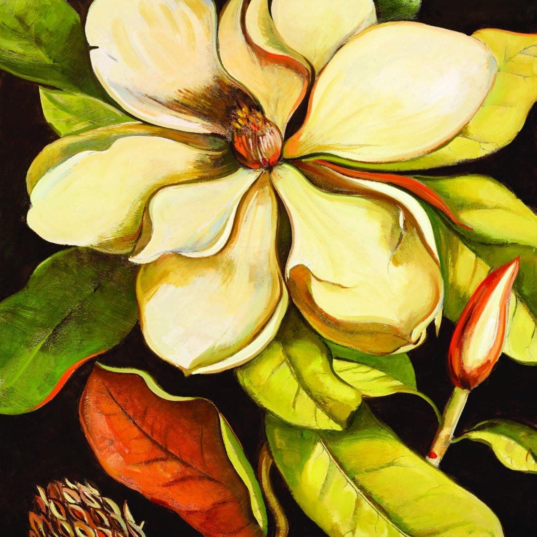 Portfolio Canvas Decor Framed and Stretched Ready to Hang Blossom Magnolia Canvas Wall Art by Elinor Luna, 24 x 24/Large