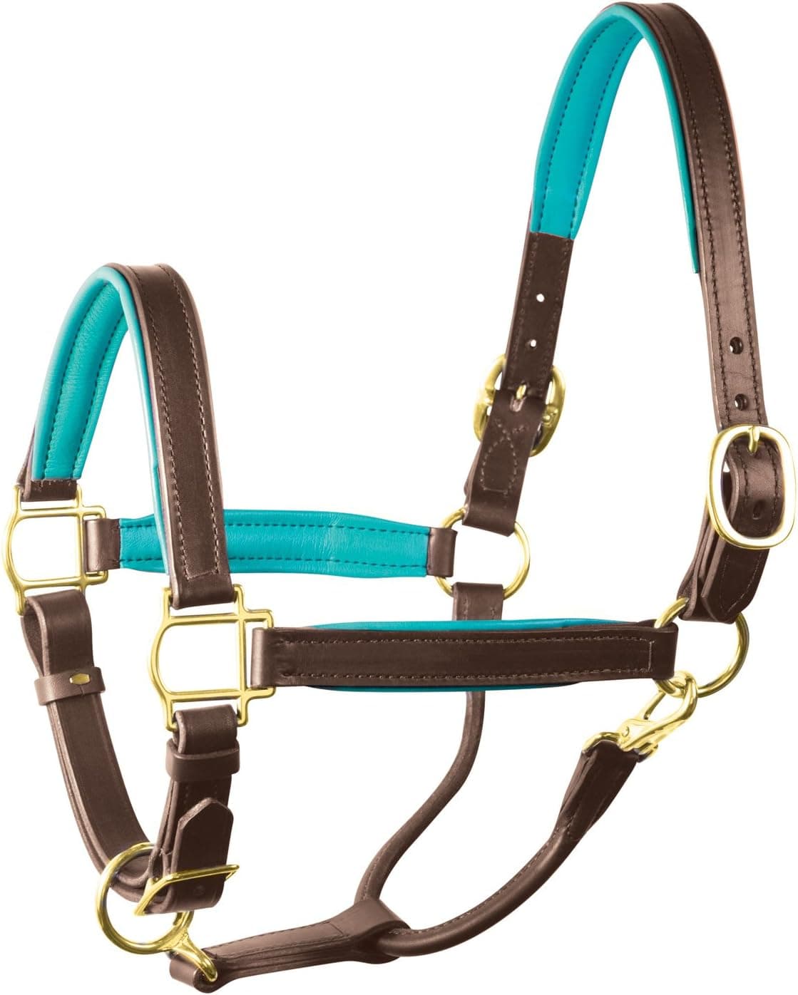 Perri's Padded Halter