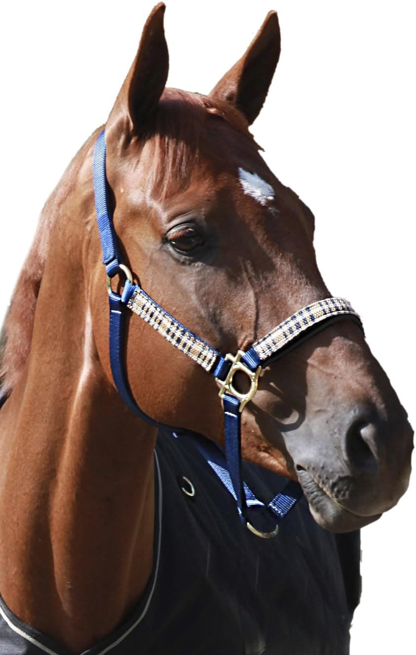 Kensington KPP Breakaway Halter Set with Padded Nose