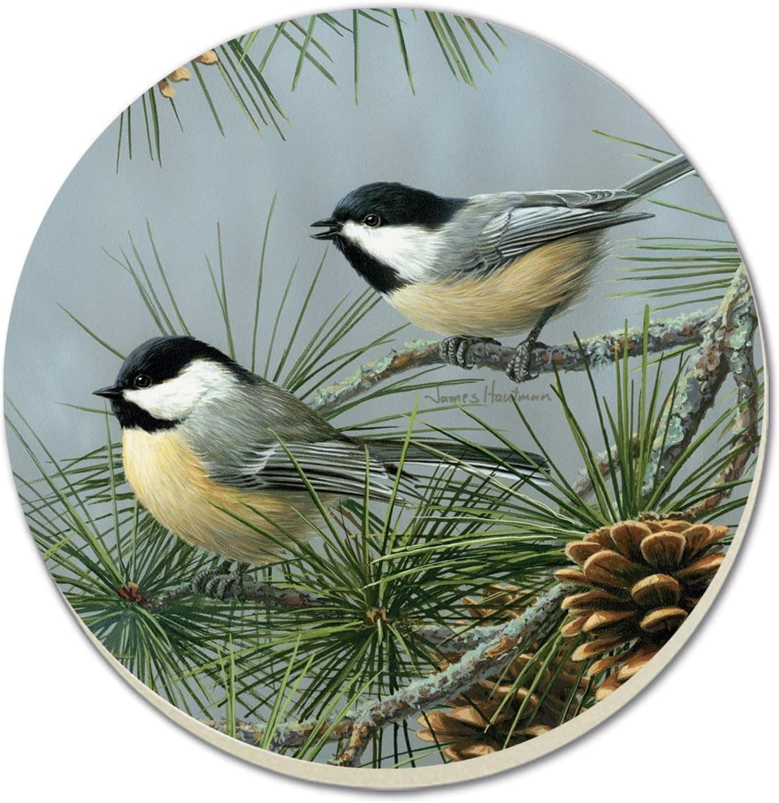 Counter Art CART88472 Beautiful Songbirds Chickadees Coasters (Set of 4)