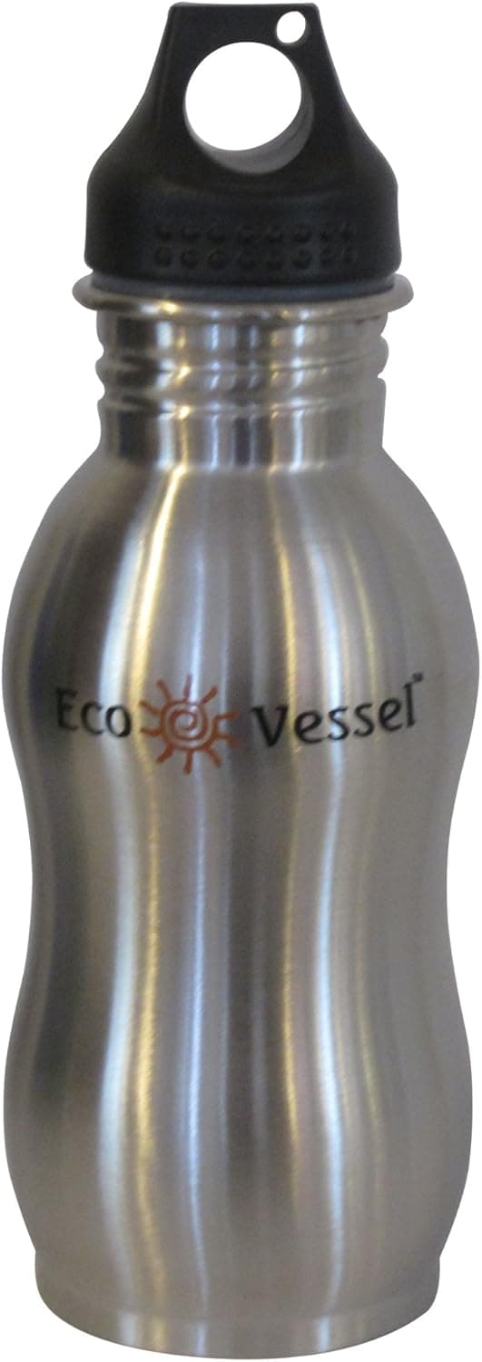 Eco Vessel Stainless Steel Water Bottle with Loop Cap Silver Express (25 Ounces)