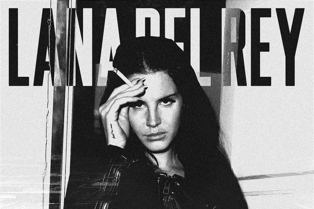 Lana Del Rey Nice Silk Fabric Cloth Wall Poster Print (20x13inch)