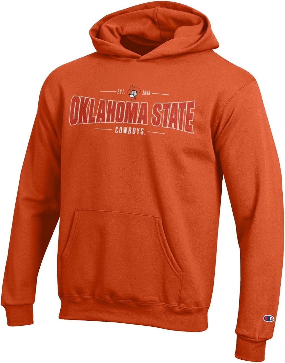 Champion Boys NCAA Youth Long Sleeve Fleece Hoodie Collegiate Sweatshirt