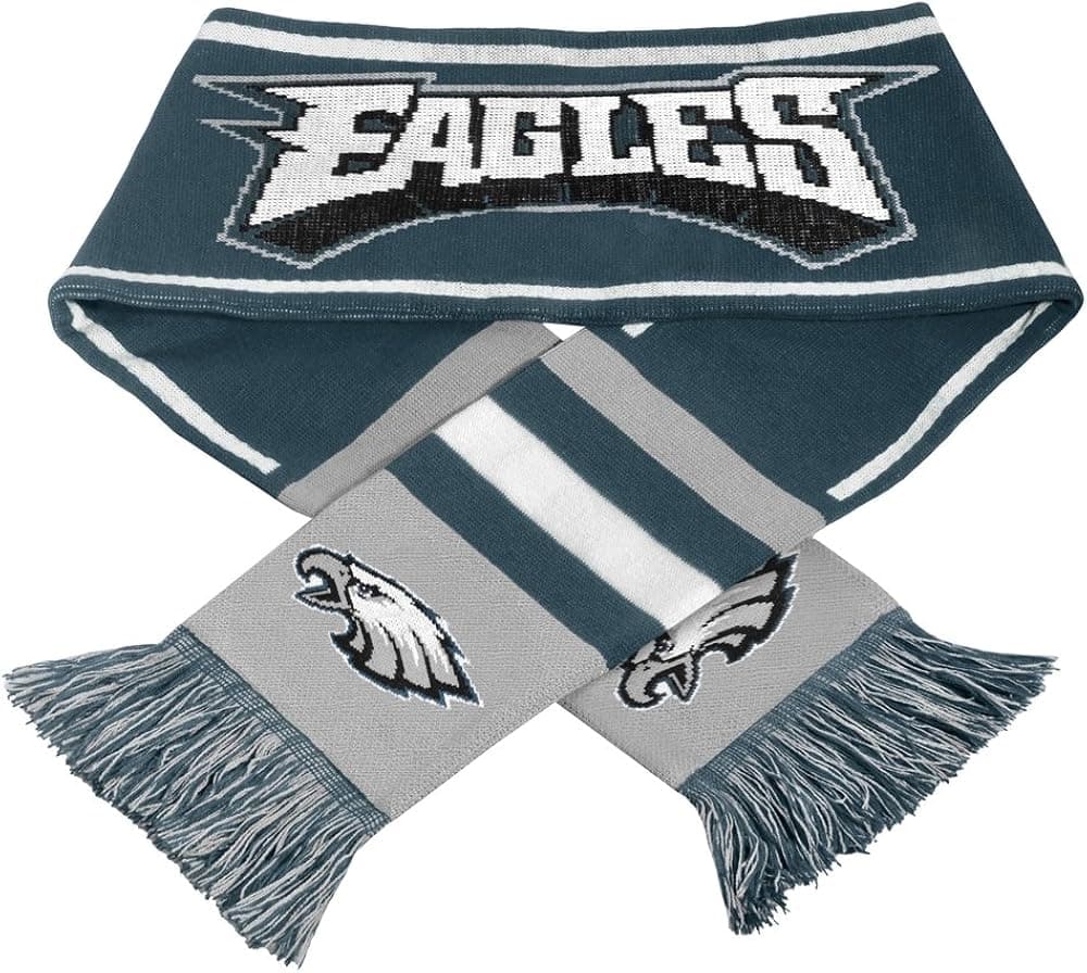 FOCO NFL unisex-adult Wordmark Scarf