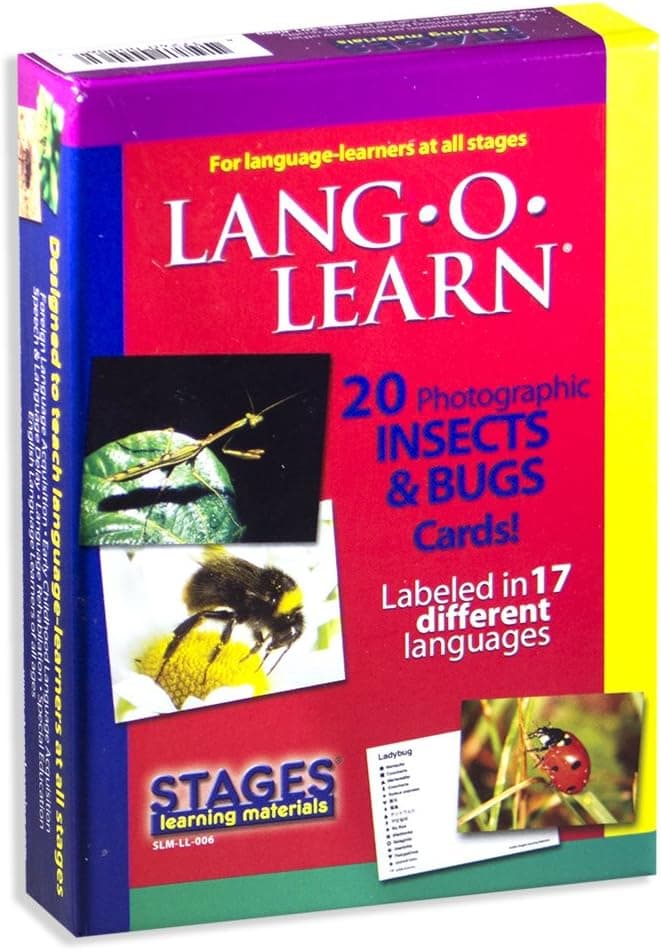 Stages Learning Lang-O-Learn ESL Insects & Bugs Vocabulary Photo Flash Cards