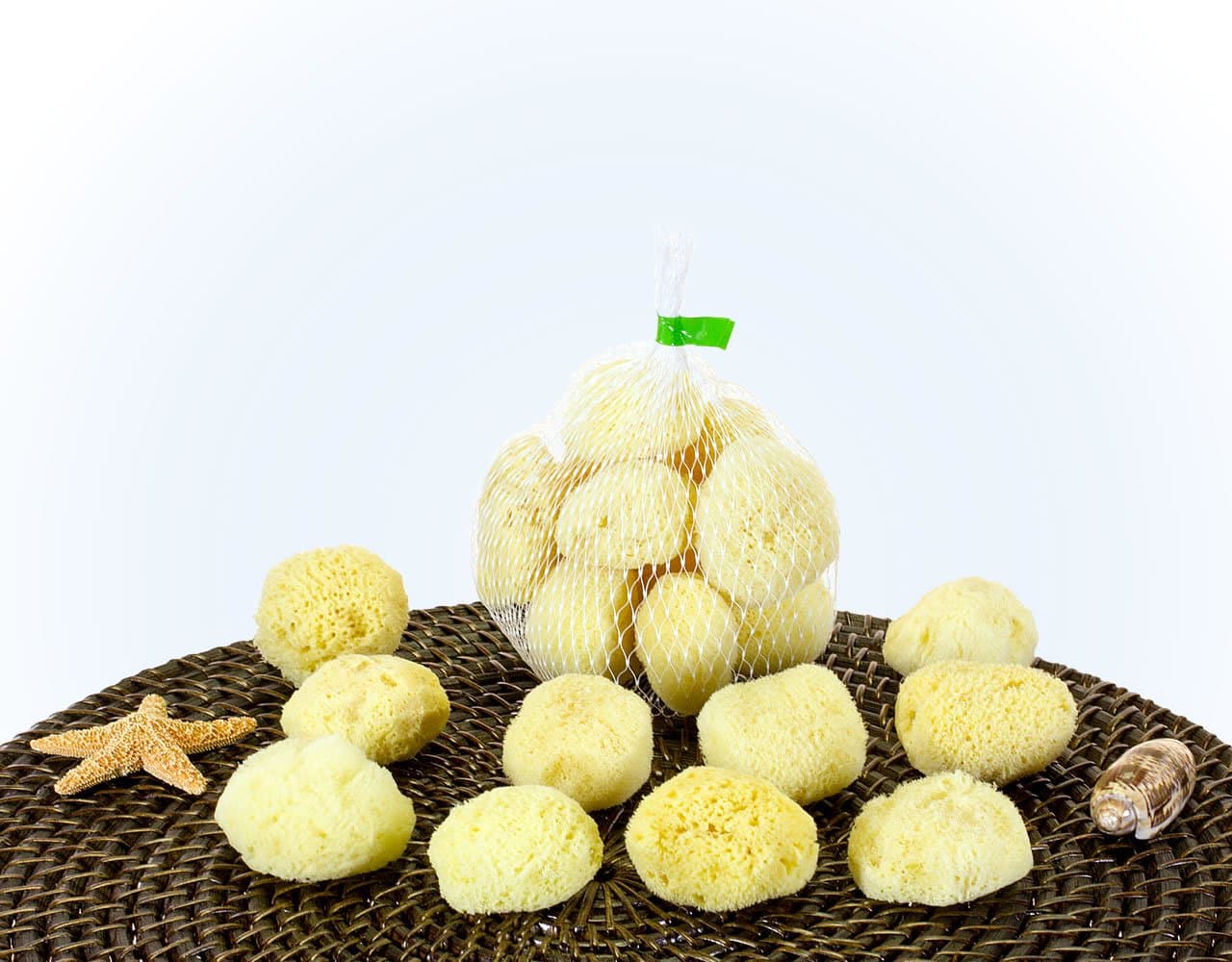 South Pacific Silk - Natural Sea Sponges for Makeup & Cosmetics (10-Pack 1.5-2" - Cotton Ball Size)